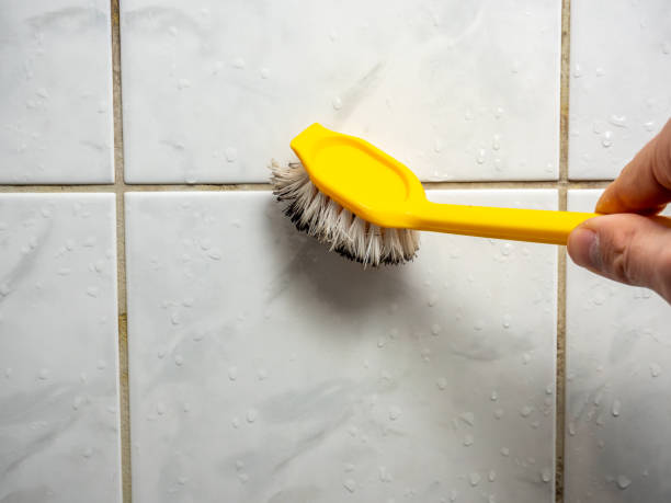 Best Best Mold Removal Companies  in Edgerton, KS
