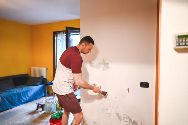 Best Crawl Space Mold Removal  in Edgerton, KS